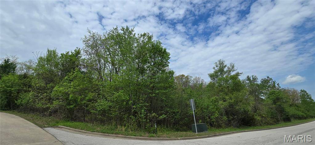LOT 1&2 EPPLE-FRICKE DRIVE, Hermann, MO 65041