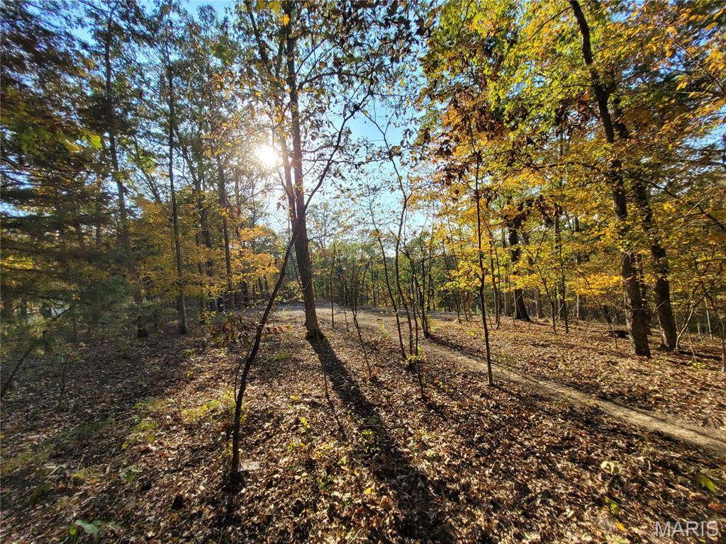 161 Steeple Point DR, Defiance, MO 63341