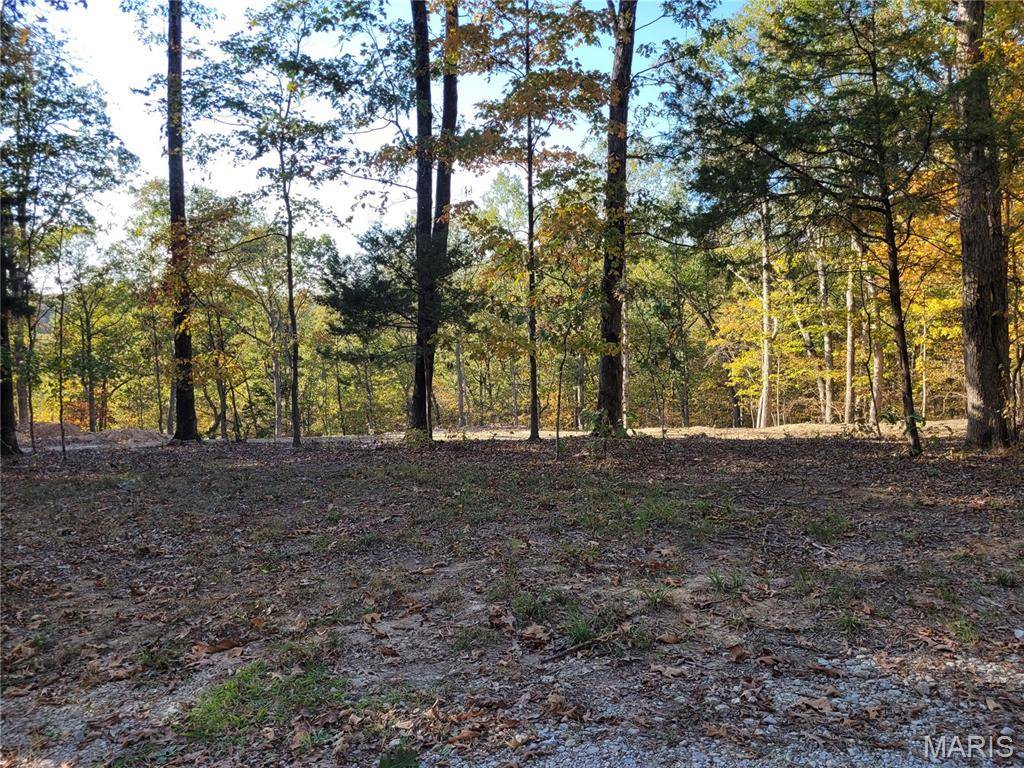 161 Steeple Point DR, Defiance, MO 63341