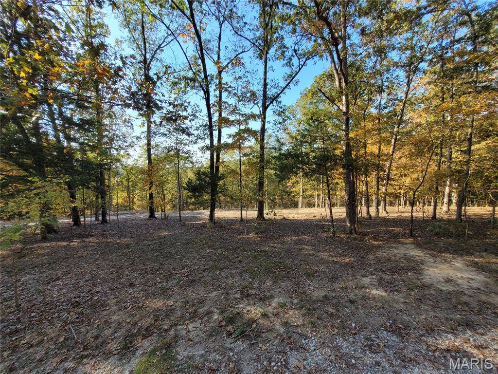 161 Steeple Point DR, Defiance, MO 63341