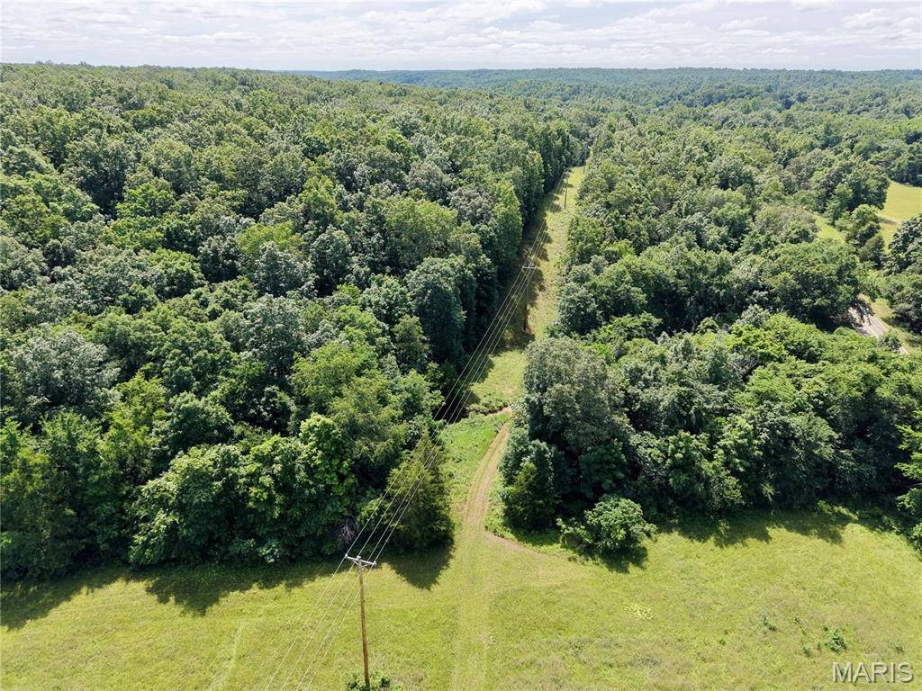 6483 Wayne Route P, Lowndes, MO 63951