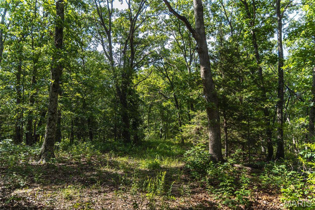 275 Oak Ridge RD, Bourbon, MO 65441