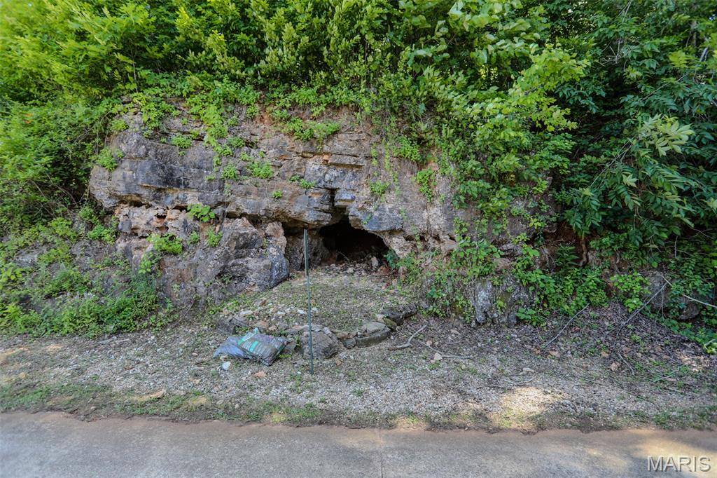 3 Old Bridge RD #4, Van Buren, MO 63965