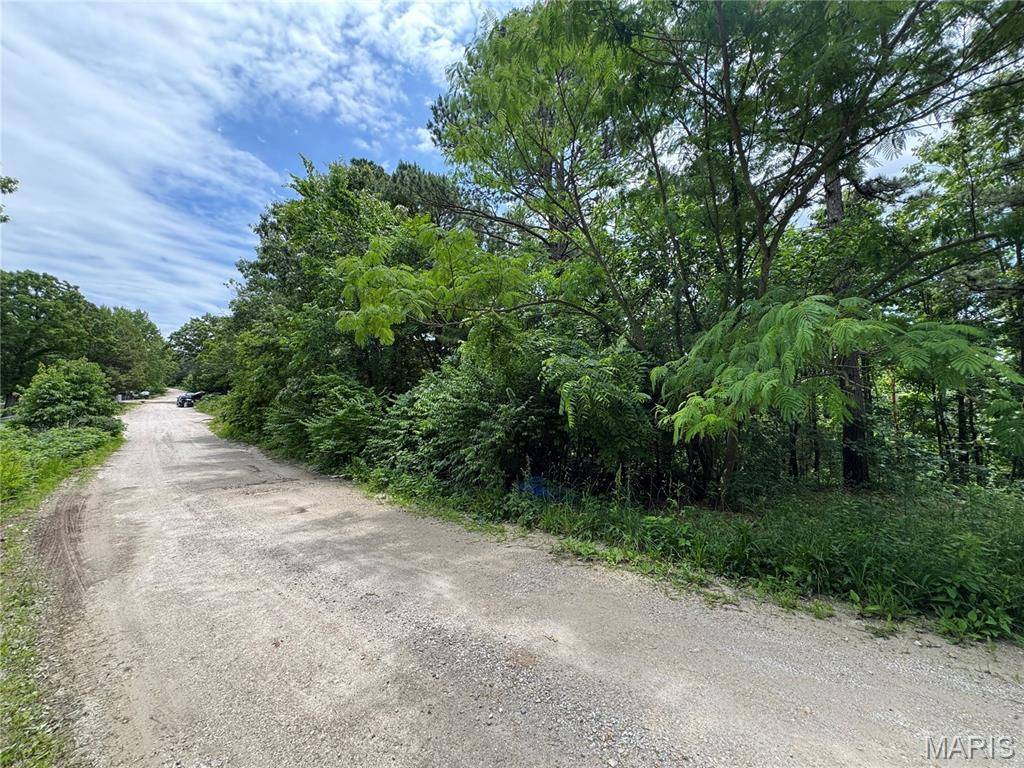 TBD Harvey DR, Dixon, MO 65459