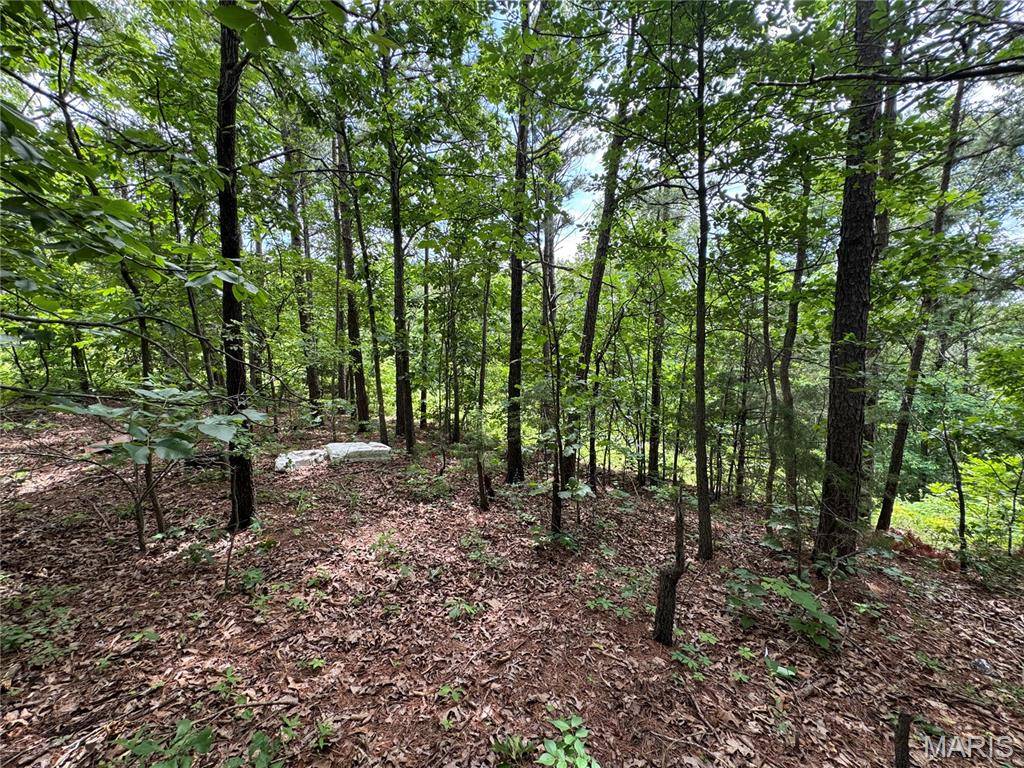 TBD Harvey DR, Dixon, MO 65459