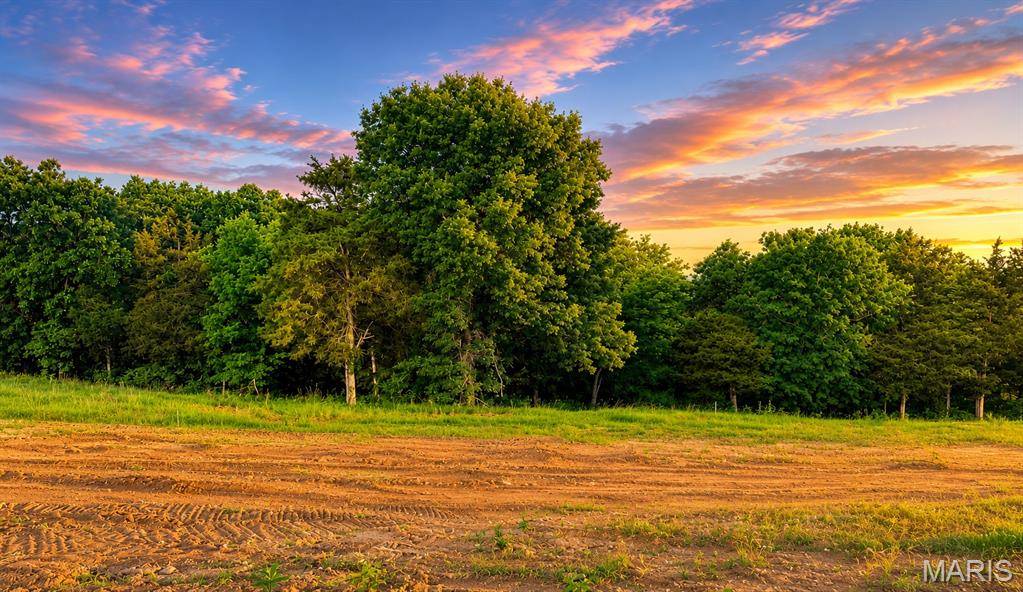 217 Fiddler's Close RD #217 STB Phase V, Washington, MO 63090