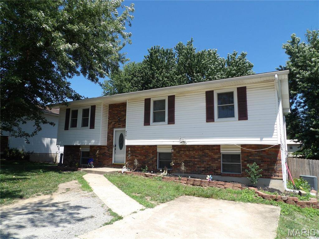 317 Marty DR, Desloge, MO 63601