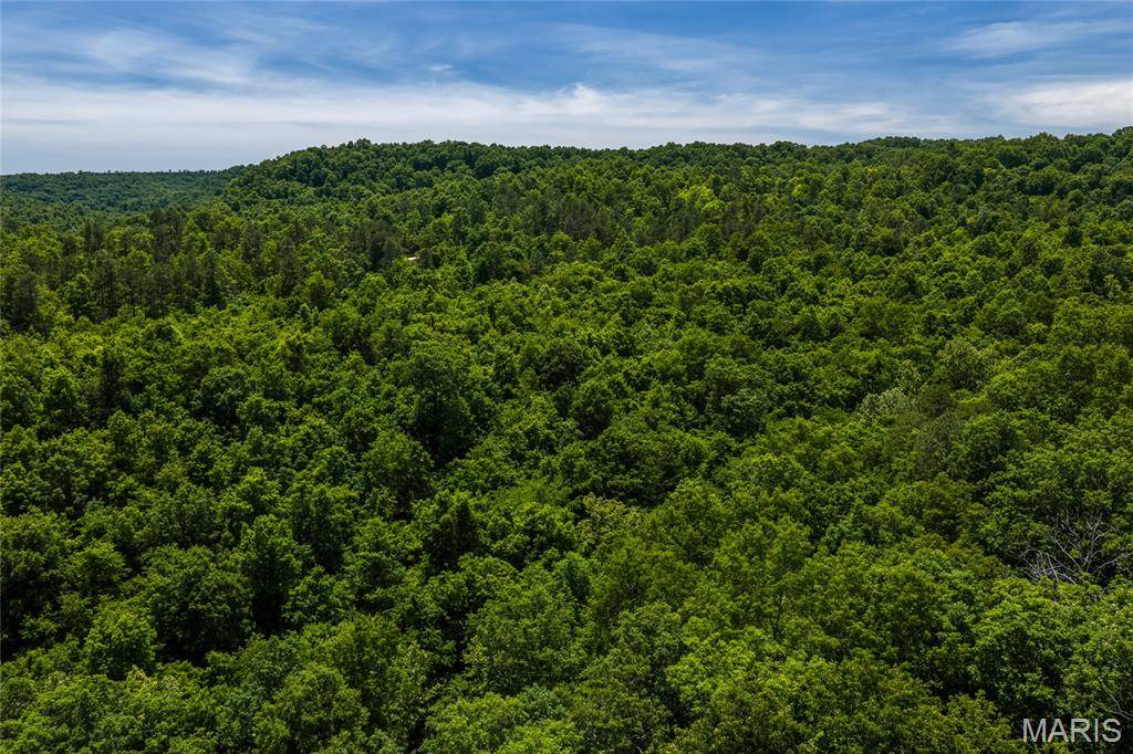 TBD Timberhill Road-Tract 1, Raymondville, MO 65555