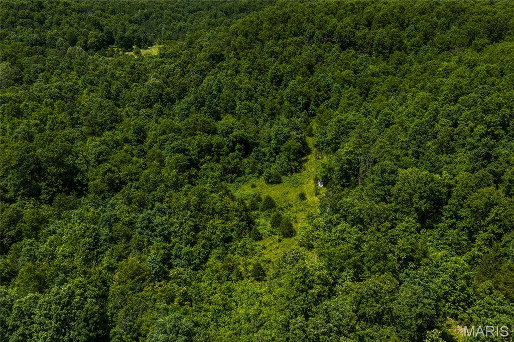 TBD Timberhill Road-Tract 1, Raymondville, MO 65555
