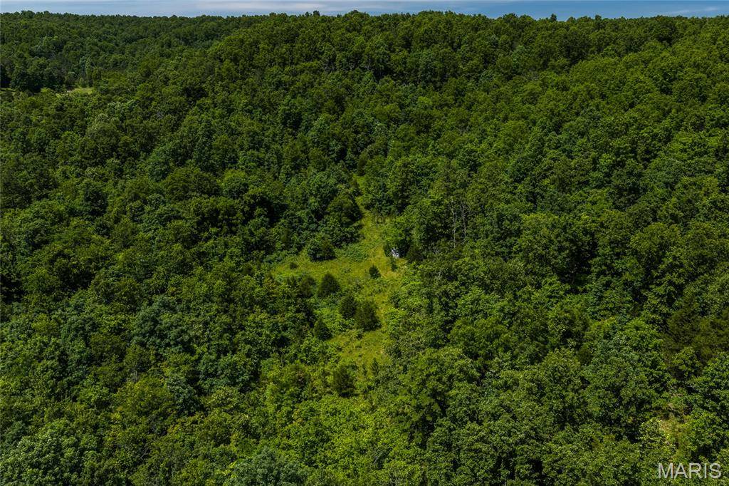 TBD Timberhill Road-Tract 1, Raymondville, MO 65555