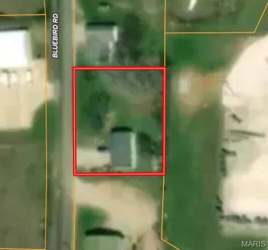 1960 M- Bluebird RD, Cabool, MO 65689