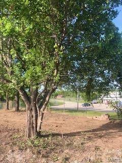 1960 M- Bluebird RD, Cabool, MO 65689
