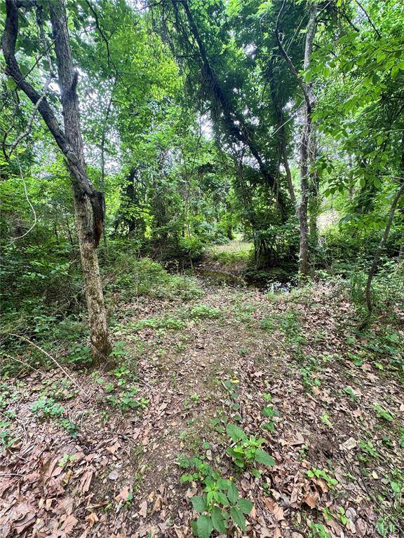8190 St Hwy 21, Grandin, MO 63943