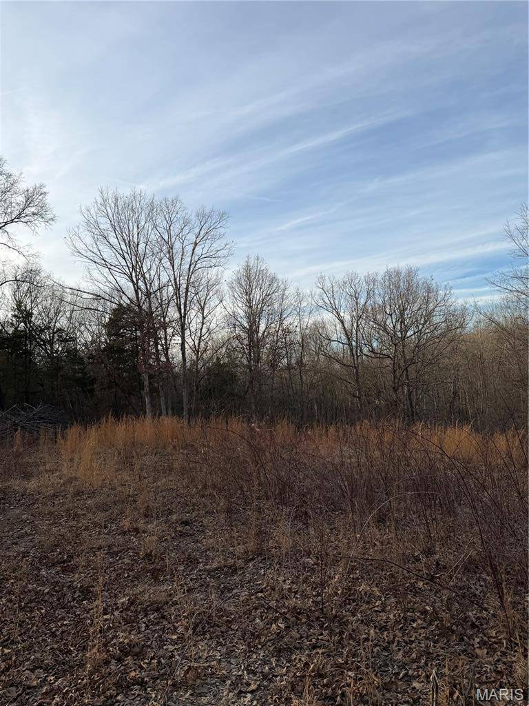 5.8 acres Dorwood Lane, Sullivan, MO 63080