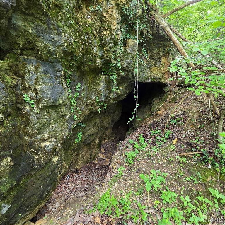 10640 E Brook RD, Dittmer, MO 63023