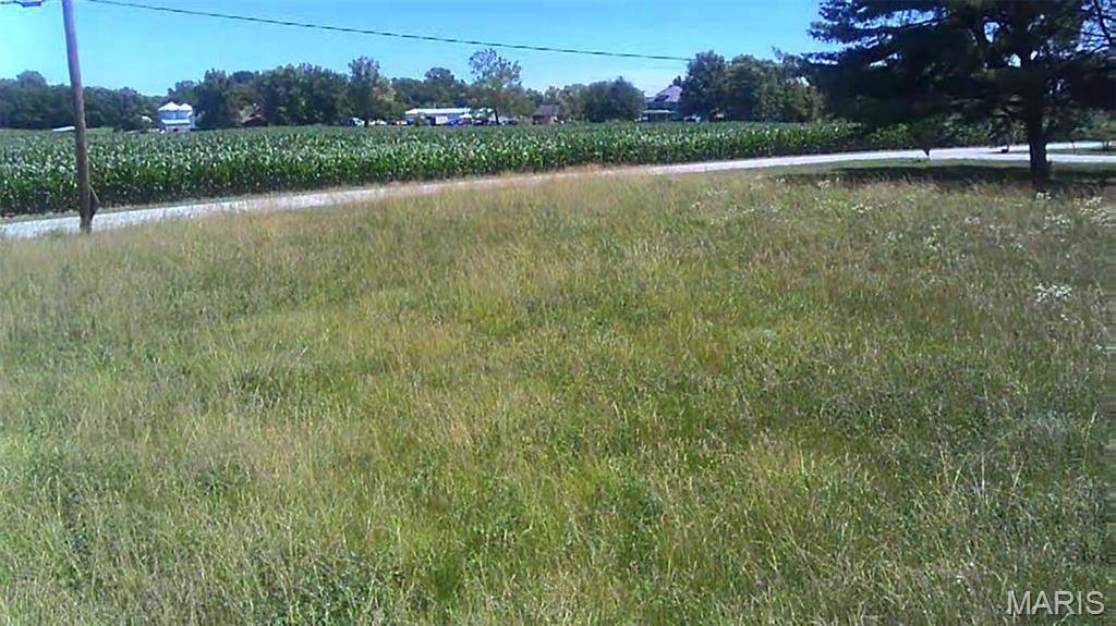 1115 E Liberty Prairie LN, Edwardsville, IL 62025
