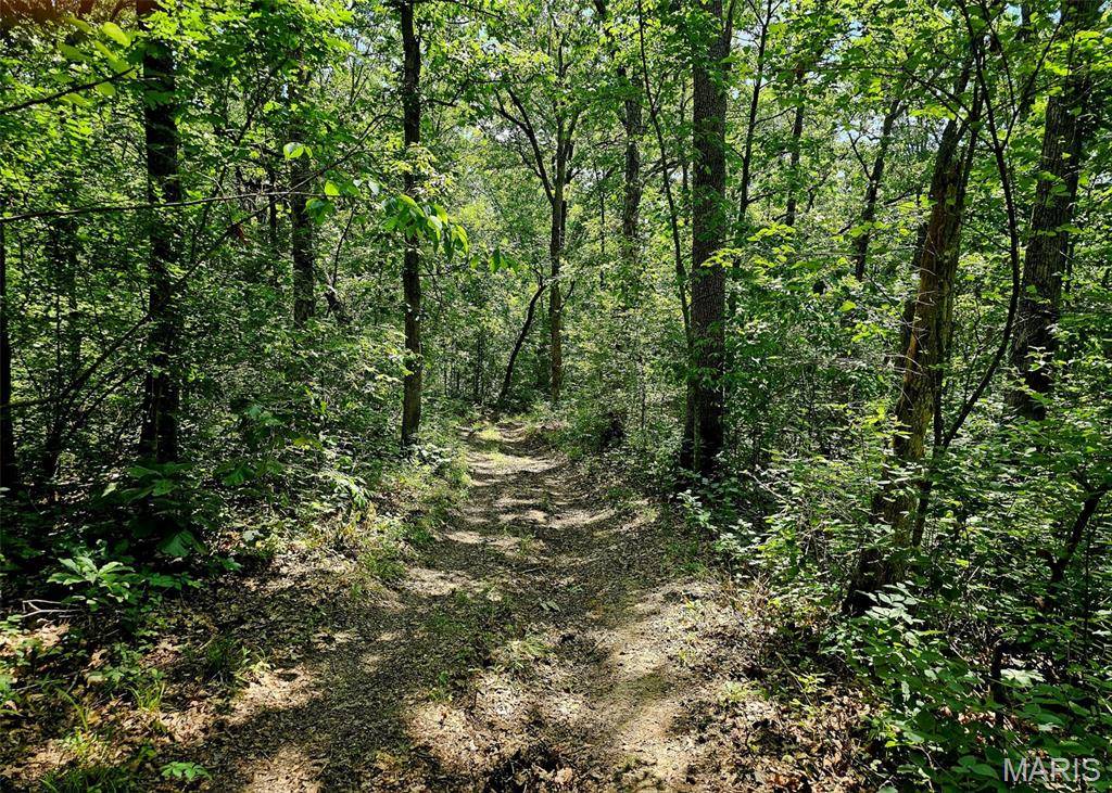 8+/- ac Walker RD, Troy, MO 63379