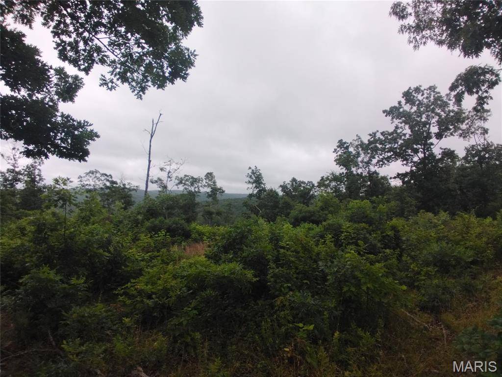 12 Tract 12, Belleview, MO 63623