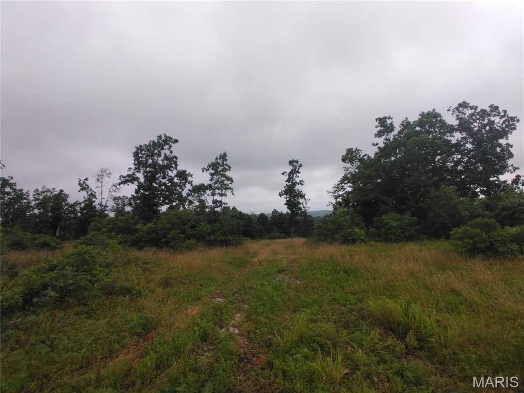 12 Tract 12, Belleview, MO 63623