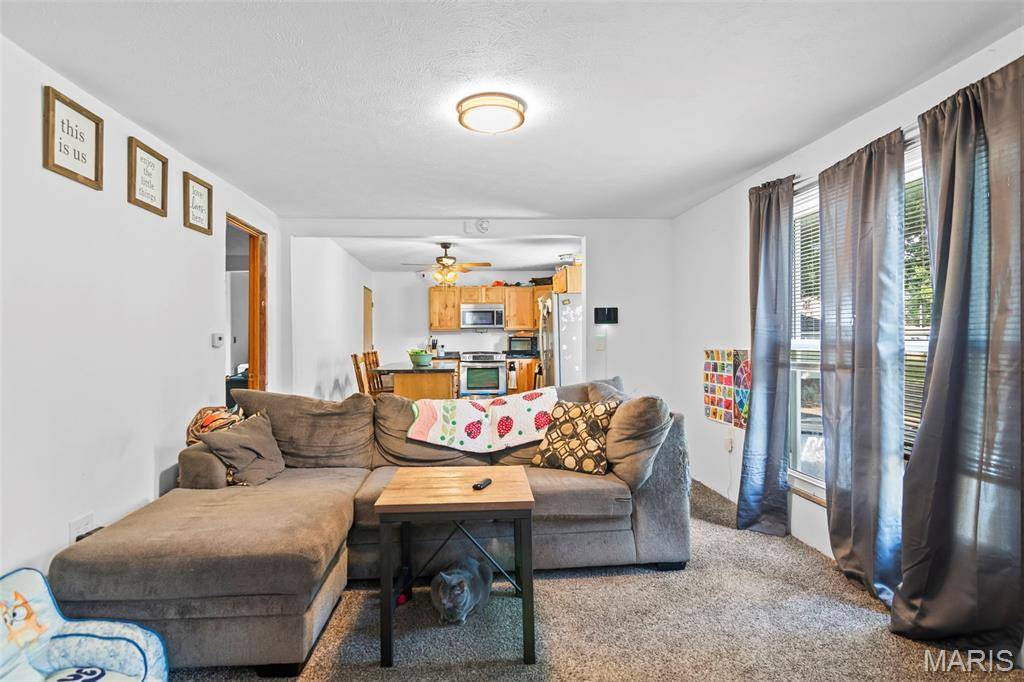 1013 N Van Buren ST, Litchfield, IL 62056