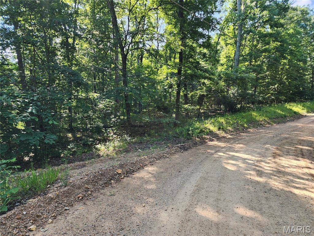 0 County Road 453, Piedmont, MO 63957