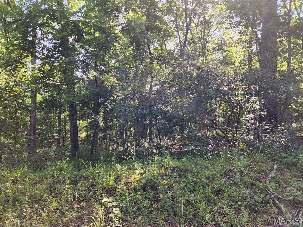 0 County Road 453, Piedmont, MO 63957