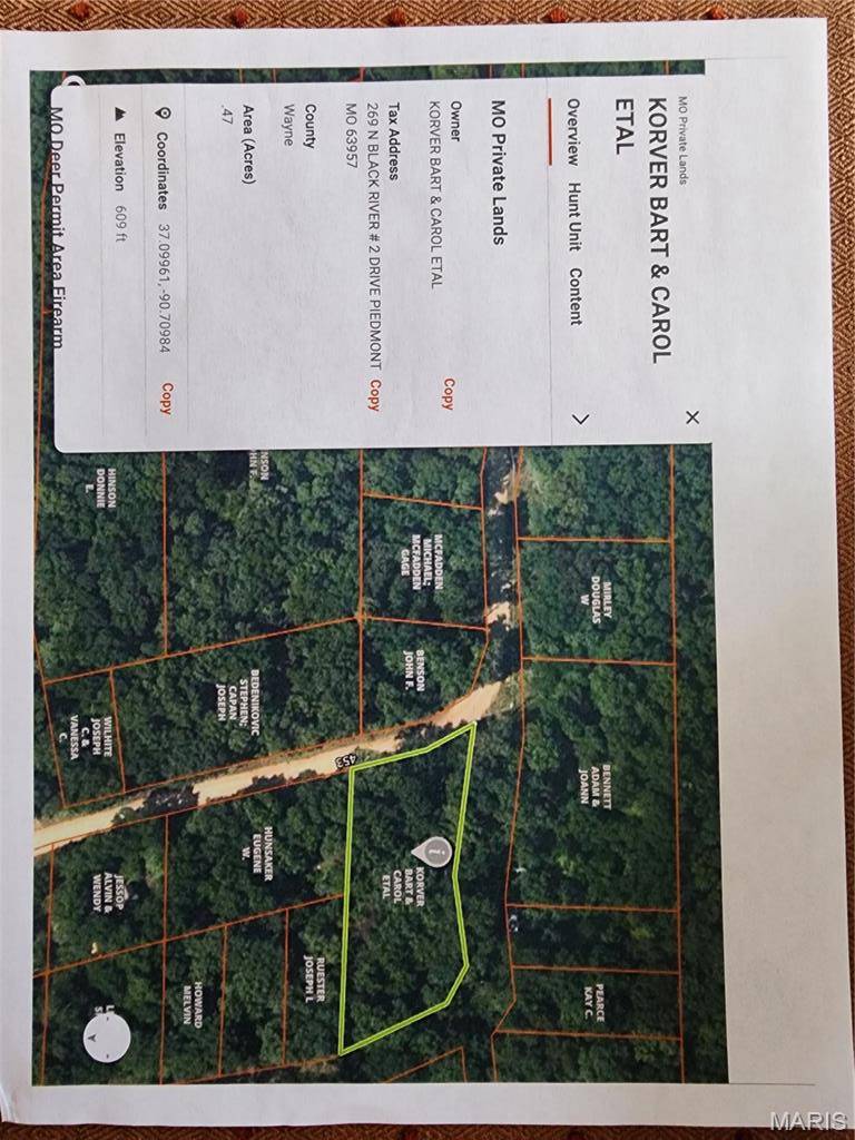 0 County Road 453, Piedmont, MO 63957