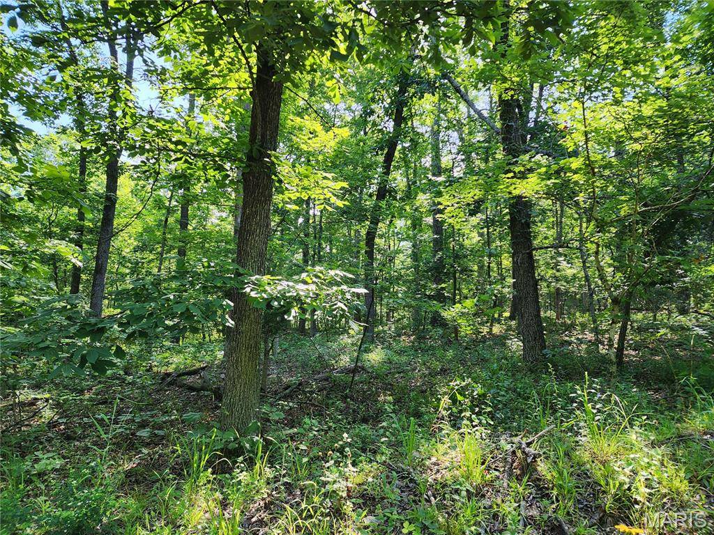 0 County Road 453, Piedmont, MO 63957