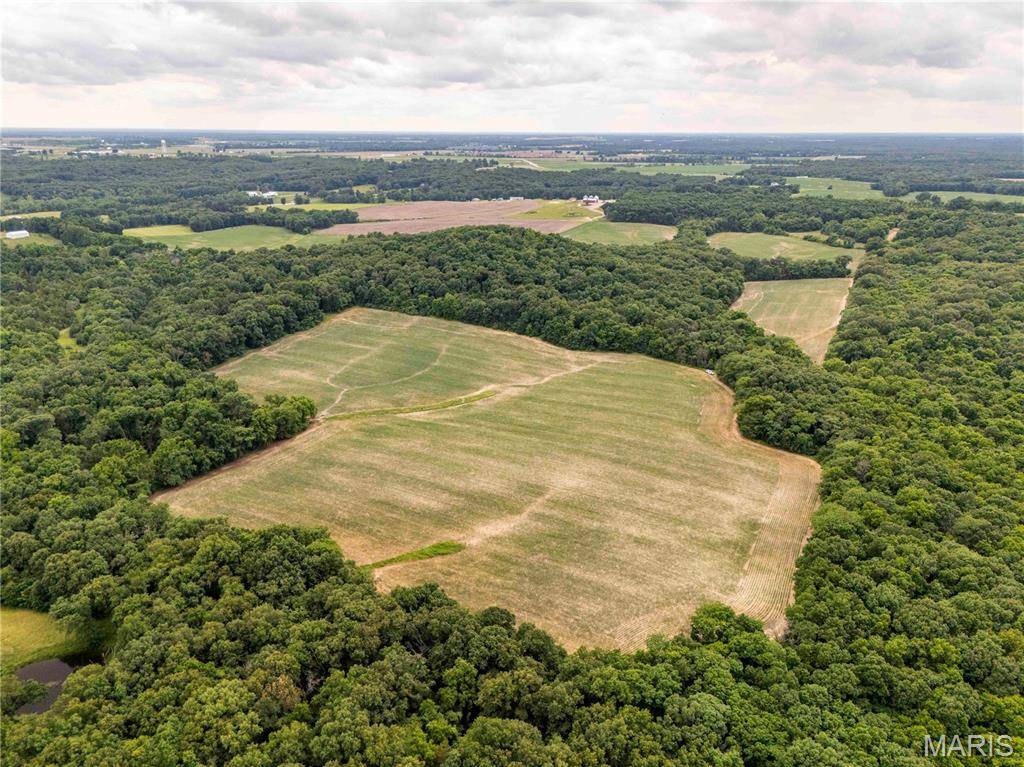 14925 Highway UU, Bowling Green, MO 63334