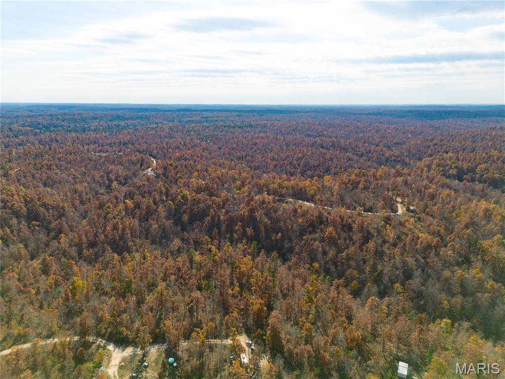 15682 Winding Trail, Birch Tree, MO 65438