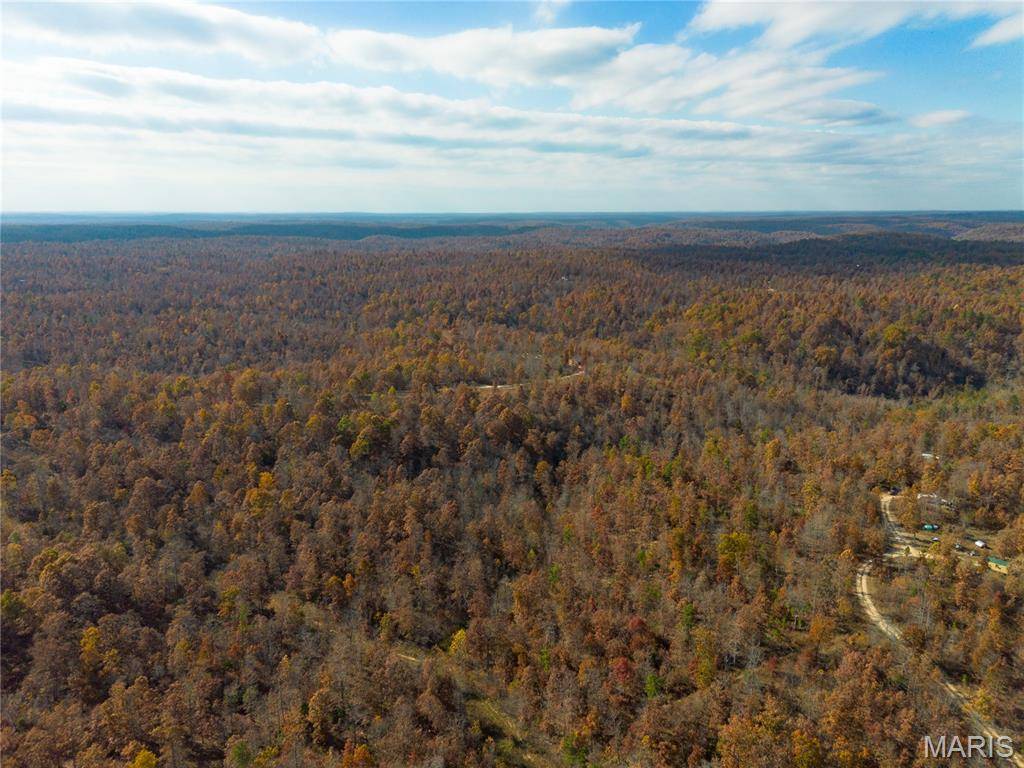 15682 Winding Trail, Birch Tree, MO 65438