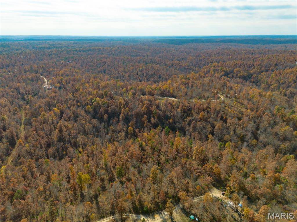 15682 Winding Trail, Birch Tree, MO 65438