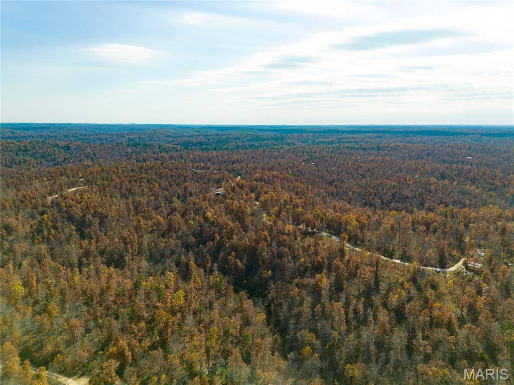 15682 Winding Trail, Birch Tree, MO 65438