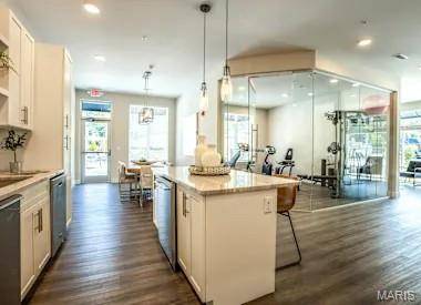 226 E Lockwood AVE #112, St Louis, MO 63119