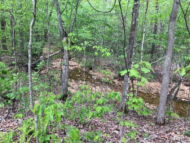 244 Madison CR 410, Fredericktown, MO 63645
