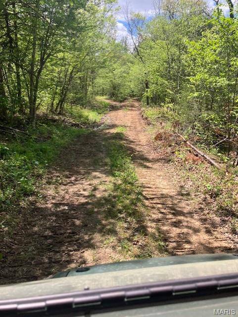 246 Madison CR 410, Fredericktown, MO 63645