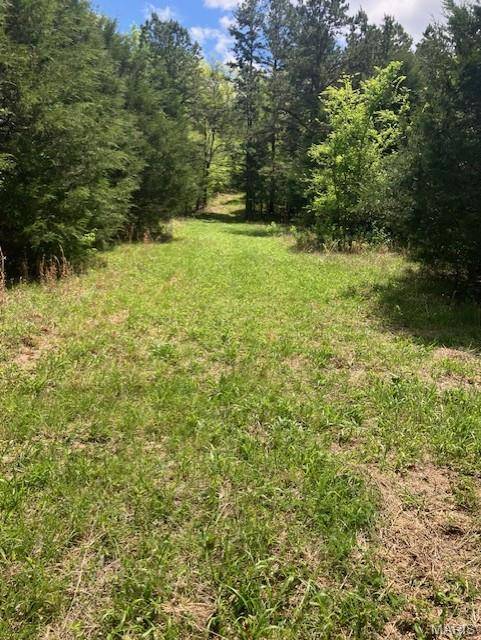 246 Madison CR 410, Fredericktown, MO 63645