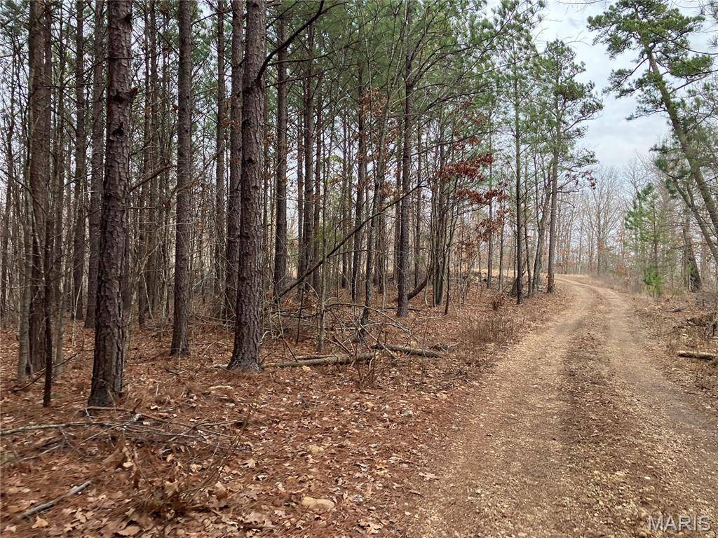 252 Madison CR 410, Fredericktown, MO 63645