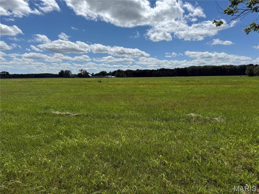 TBD West Fellin DR, Mount Olive, IL 62069