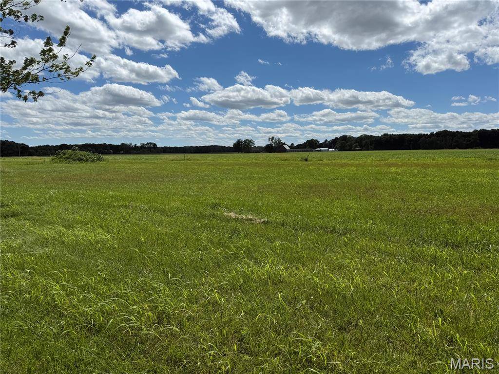 TBD West Fellin DR, Mount Olive, IL 62069