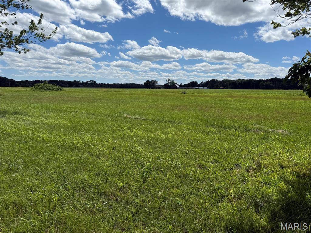 TBD West Fellin DR, Mount Olive, IL 62069
