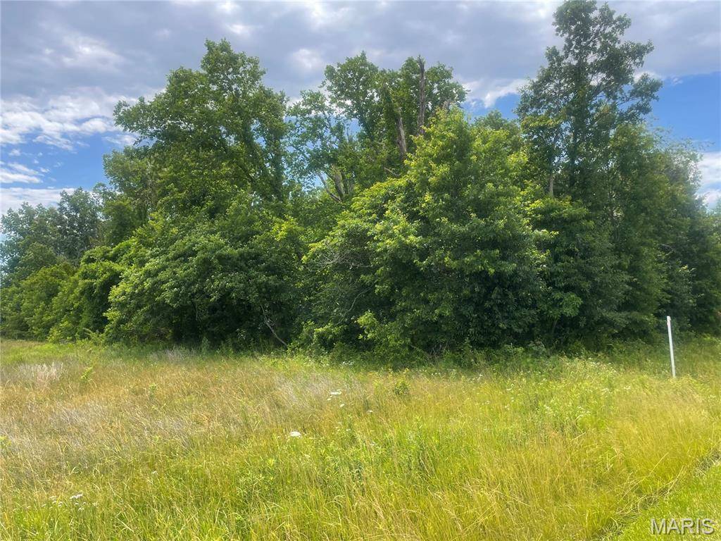 XXX Louse Creek RD, Carlyle, IL 62231
