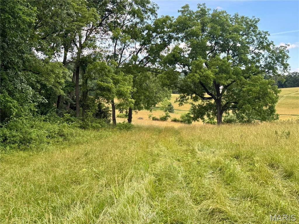 13628 Thornberry Rd., New London, MO 63459