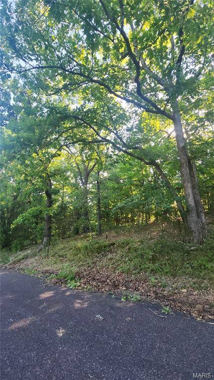 lot 14 E Forest LN, Owensville, MO 65066