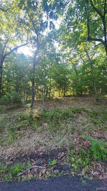 lot 14 E Forest LN, Owensville, MO 65066