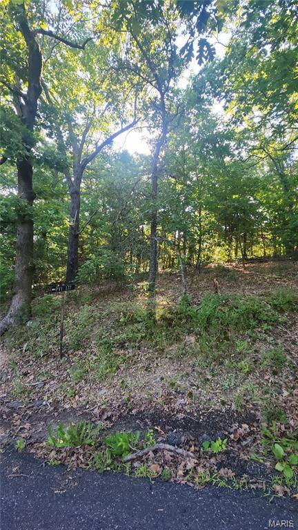 lot 14 E Forest LN, Owensville, MO 65066