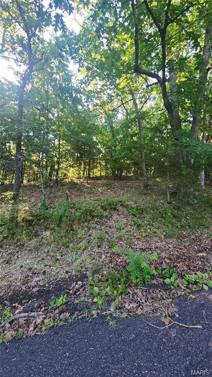 lot 14 E Forest LN, Owensville, MO 65066