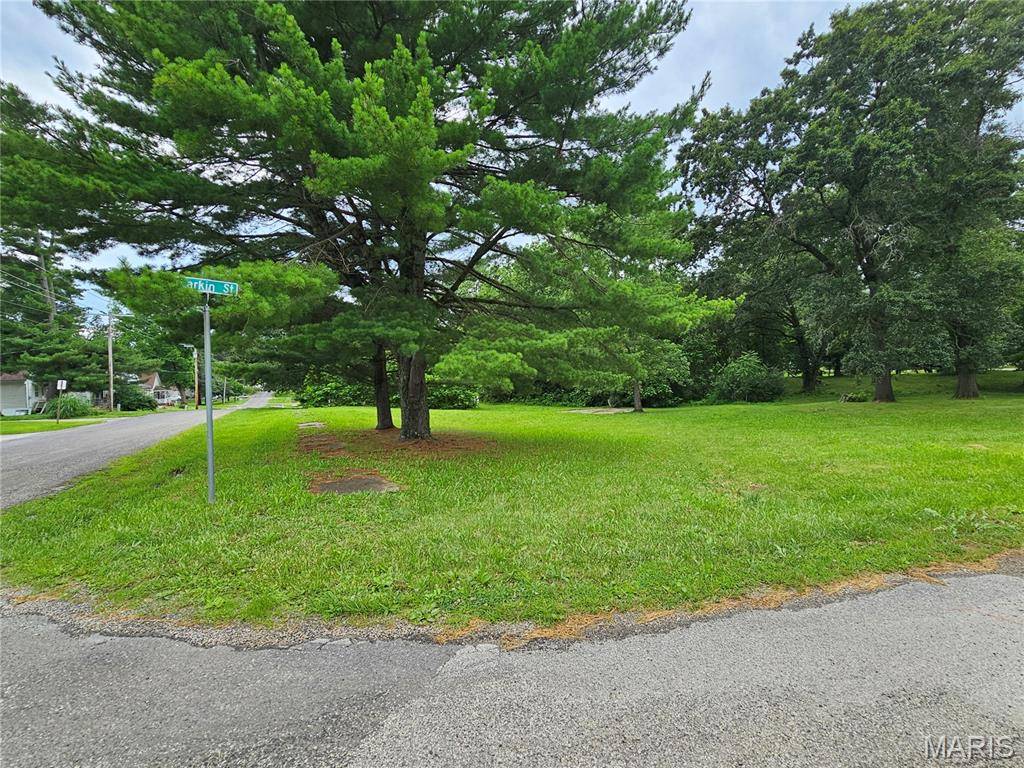 1031 E Seward ST, Hillsboro, IL 62049