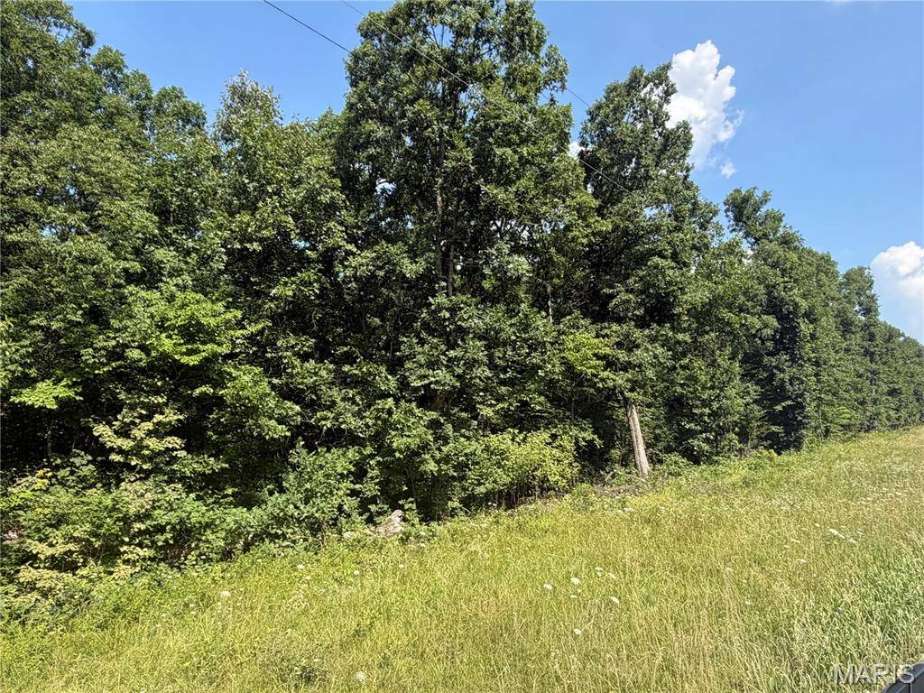 0 Clinton Place, Monroe City, MO 63456