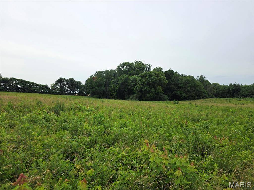 14601 E Loyola, Mount Vernon, IL 62864
